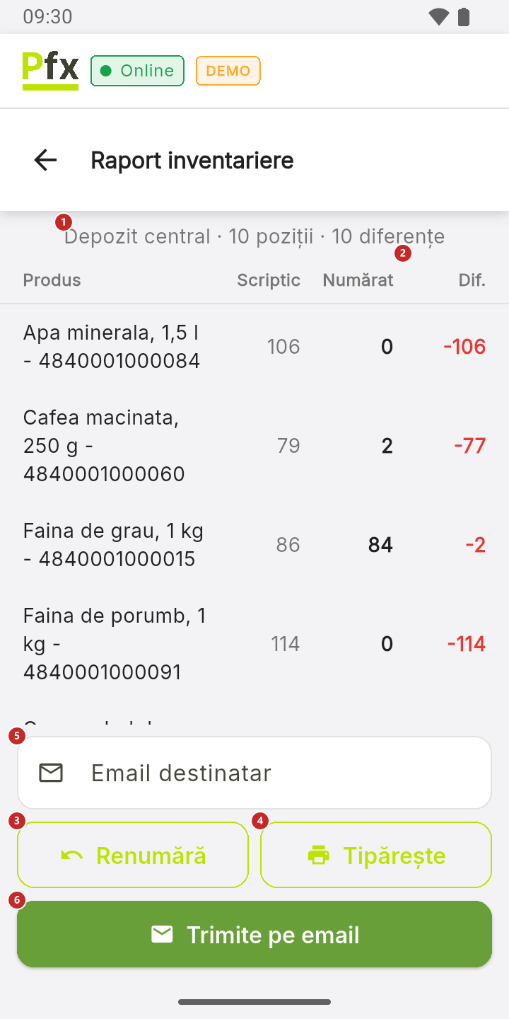 Raportul de inventariere